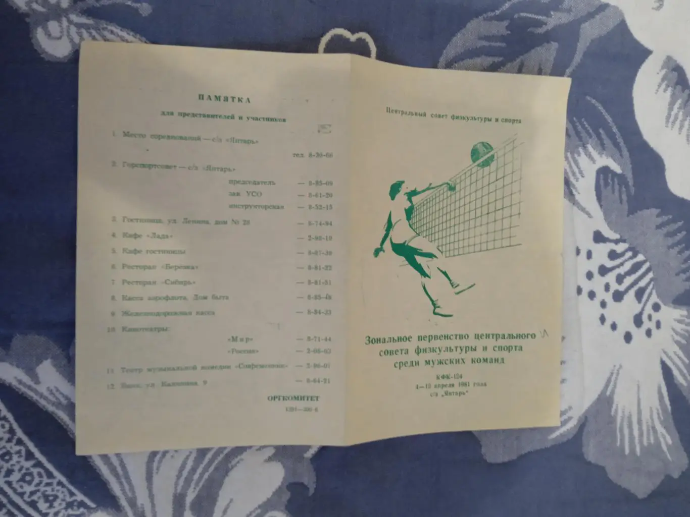 Волейбол.ЦС ФиС.Томск 1981 г.