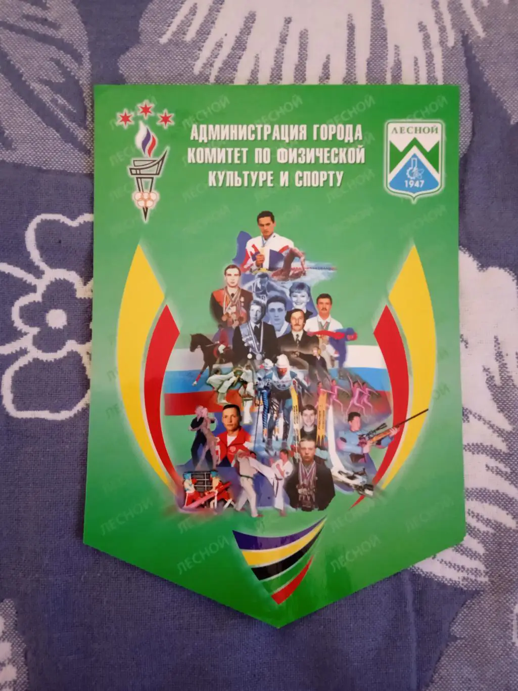 Вымпел.Комитет ФиС.Лесной.