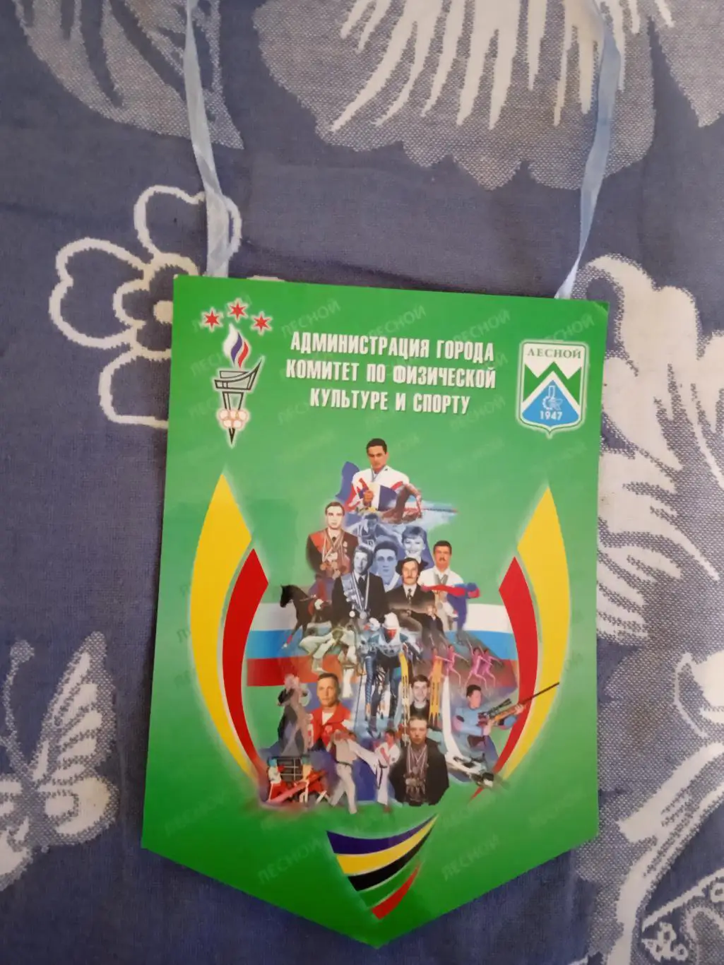 Вымпел.Комитет ФиС.Лесной.