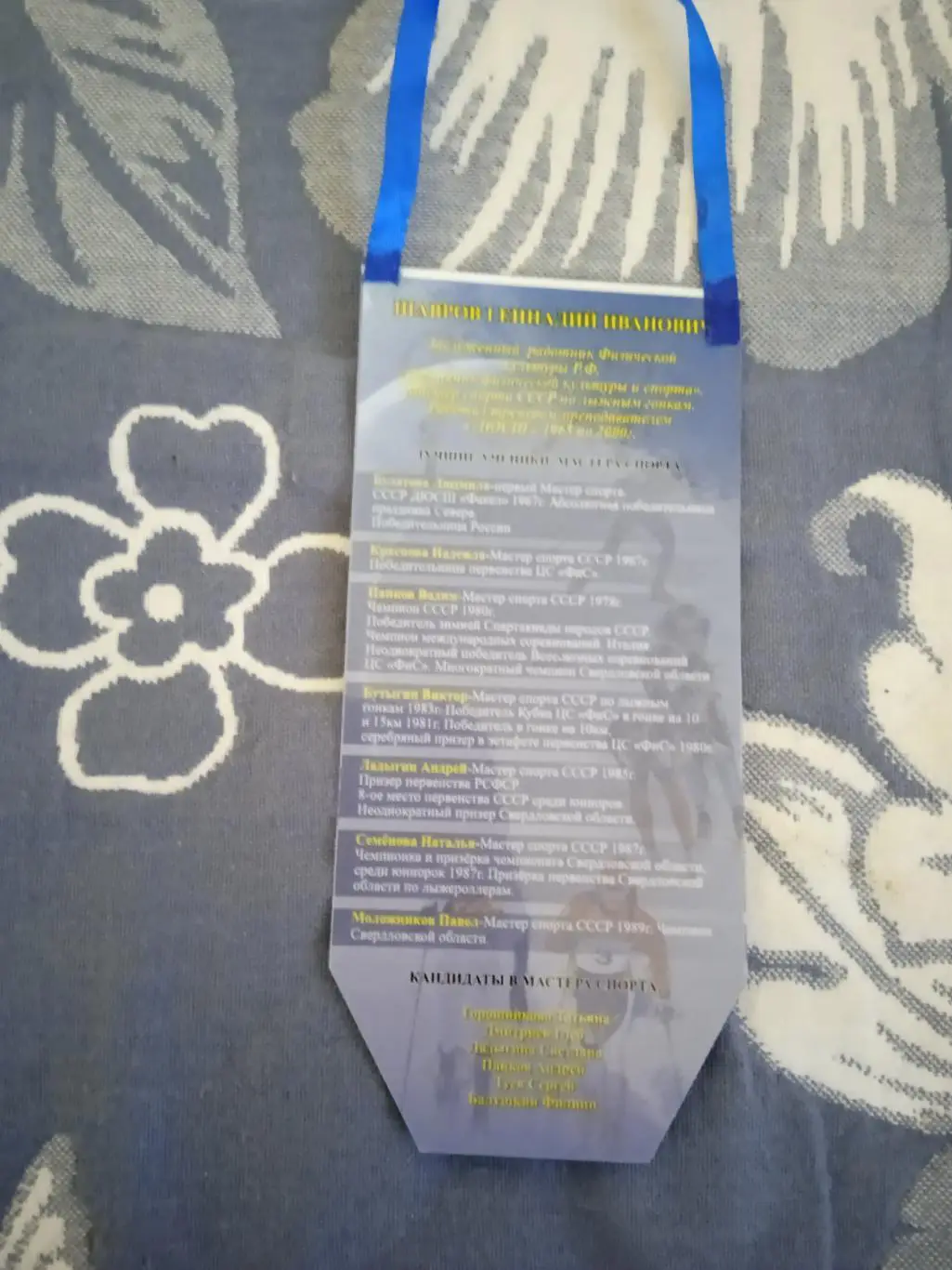 Вымпел.Лыжные гонки.Лесной. 1