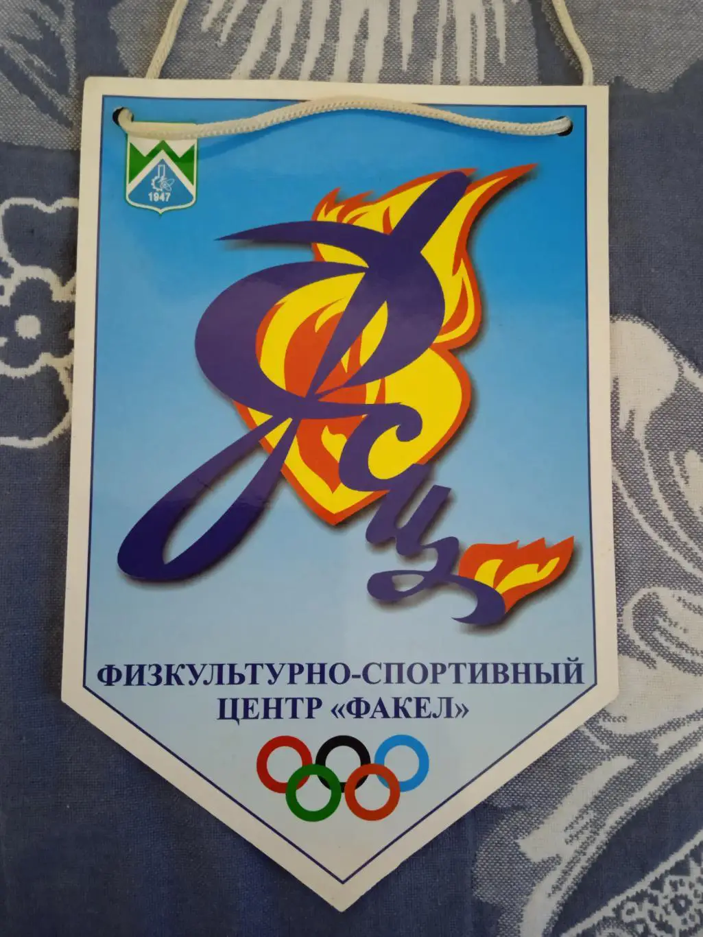 Вымпел.ФСЦ Факел.Лесной.