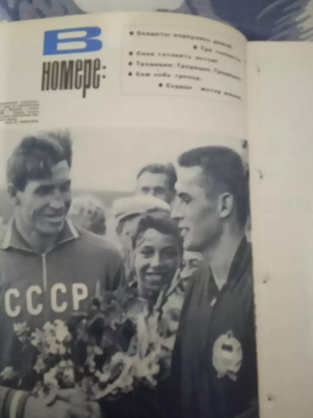 Журнал.Физкультура и спорт № 5 1967 г. (ФиС) (после переплета). 1