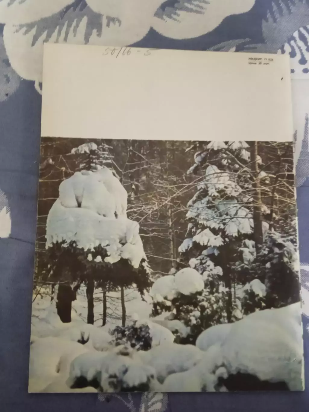 Журнал.Физкультура и спорт № 11 1967 г. (ФиС) (после переплета). 3