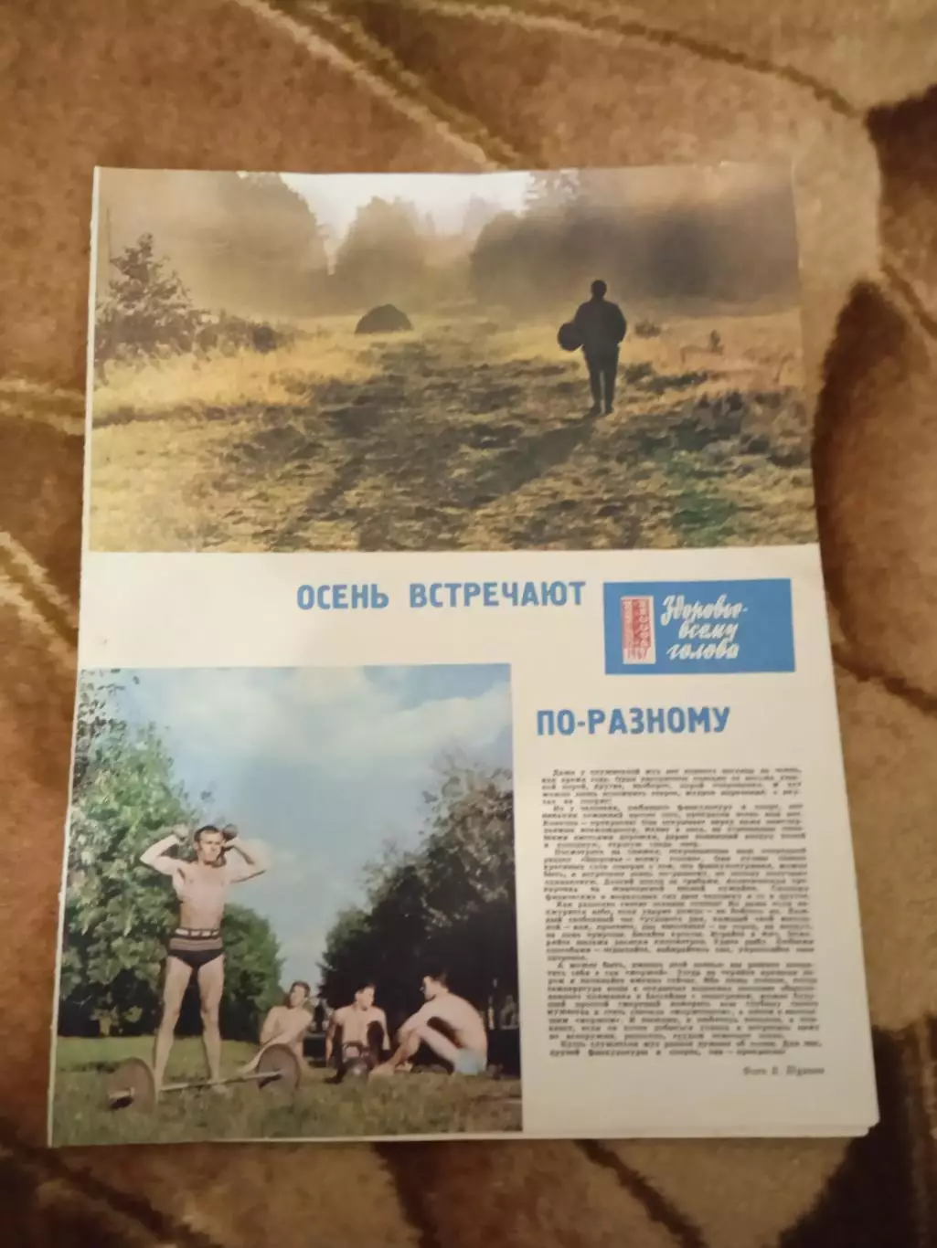 Статья.ФиС.Школа здоровья.Гири.Журнал СЖР 1967 г.