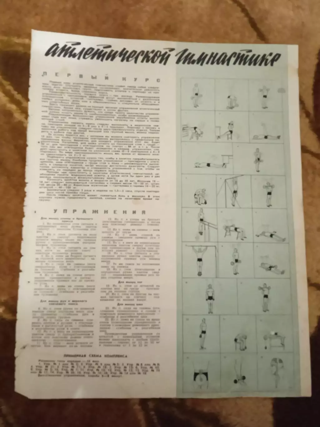 Статья.ФиС.Школа здоровья.Атлетическая гимнастика.Журнал СЖР 1967 г.