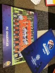 Динамо Загреб- шахтар Донецьк. 2008.в.