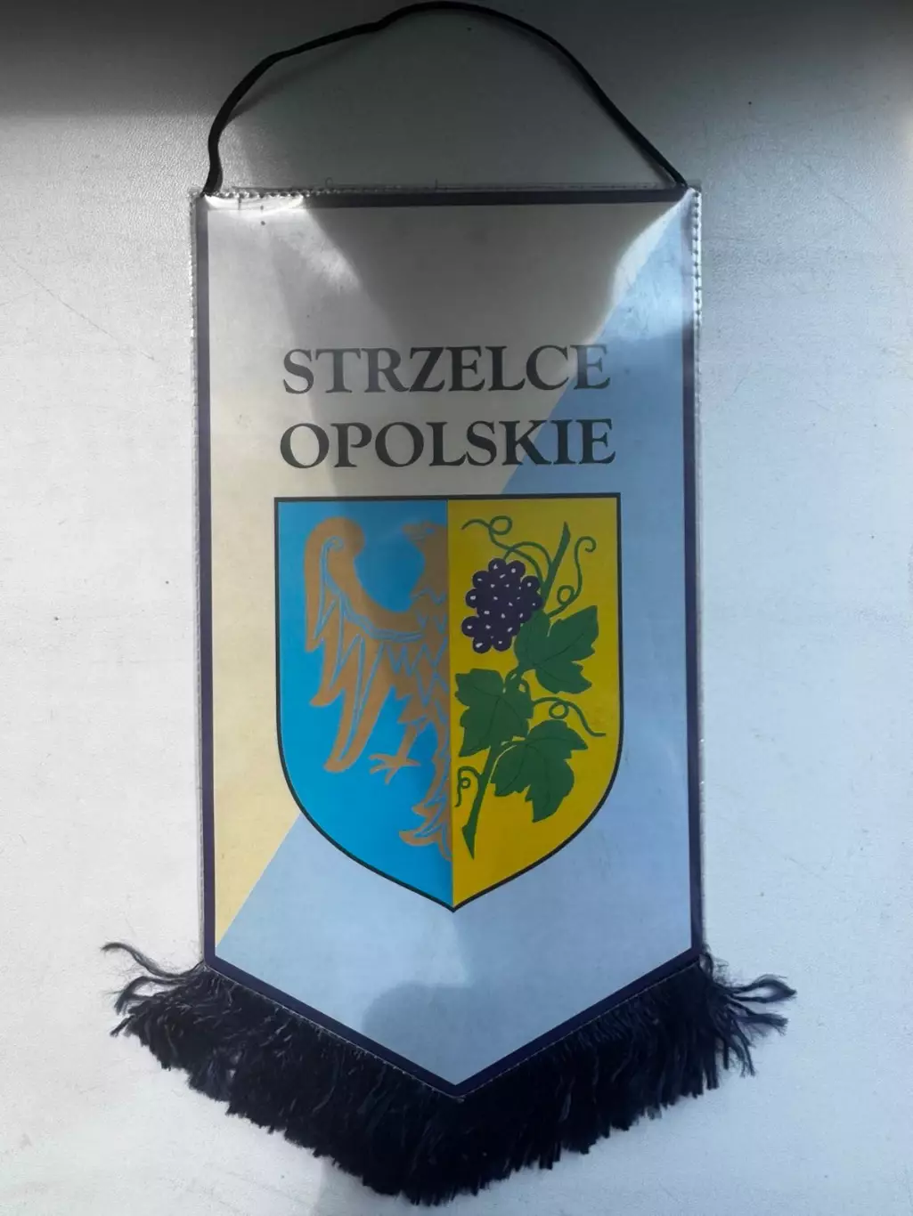 Вимпел. Стжельце Опольське. Польща..