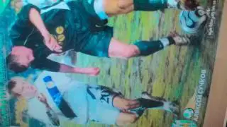 ПОСТЕР. КАРПАТЬІ ЛЬВОВ СУЧКОВ.