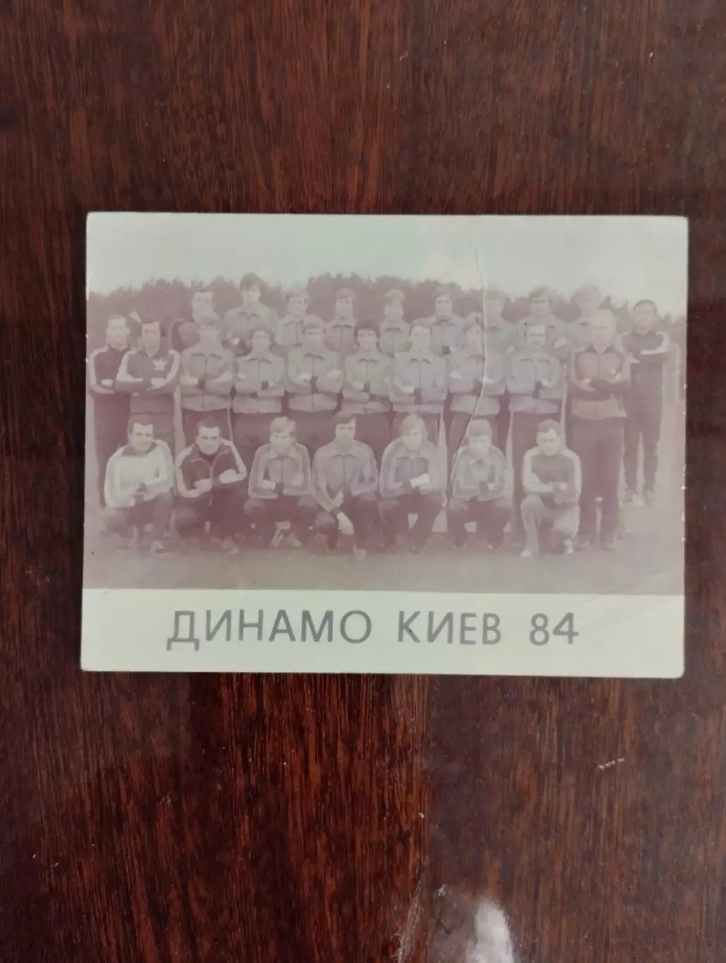 листівка. динамо київ- 1984.).