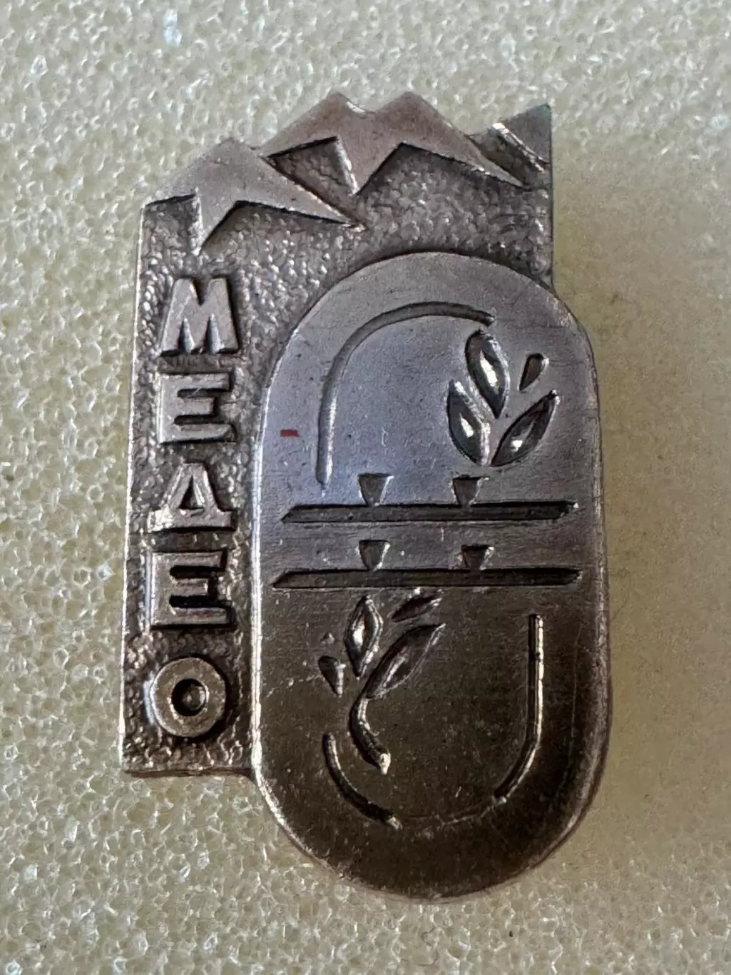 Значок. Медео..