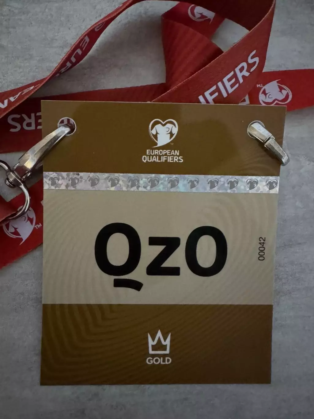 Бейдж. Азербайджан- Україна. 2025..