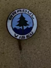 Акція до 30.12.2025. Значок. Брадул Вісеу..