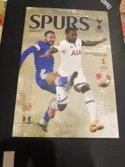 Тоттенхем - Дніпро Дніпропетровськ. 2014.в.