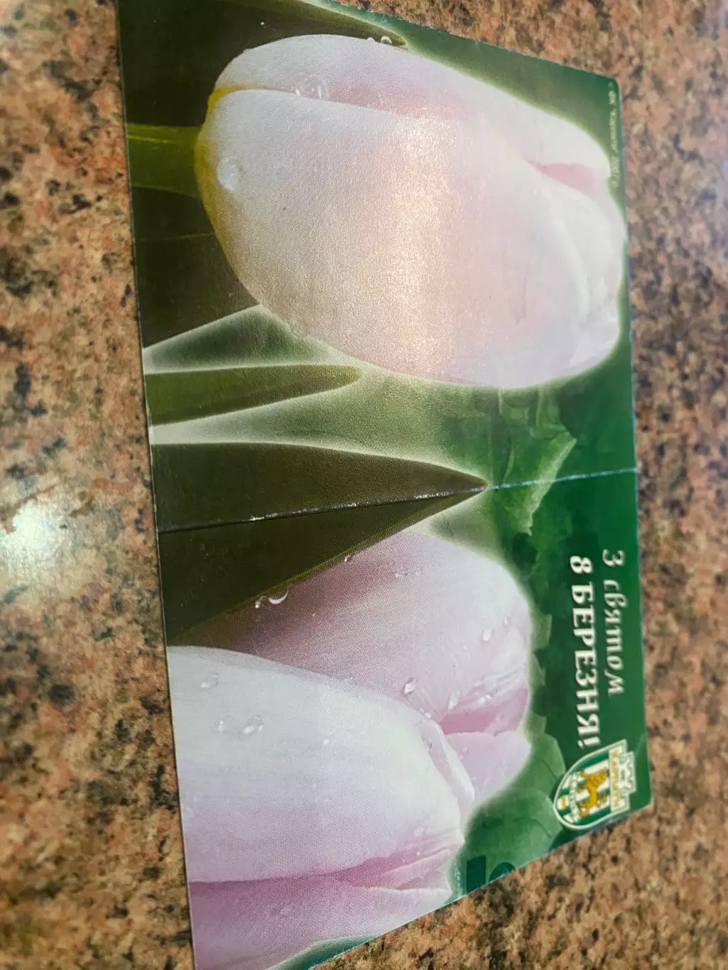 Листівка. Карпати Львів.м.