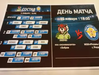 МХК. ЭКОНИВА (Бобров Воронежская область ) - МХК. Рязань -ВДВ. ..15.01.2026.