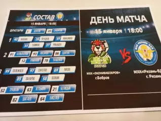 МХК. ЭКОНИВА (Бобров Воронежская область ) - МХК. Рязань -ВДВ. ..15.01.2026..