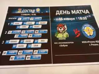 МХК. ЭКОНИВА (Бобров Воронежская область ) - МХК. Рязань -ВДВ. ..15.01.2026..
