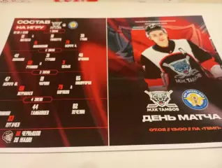 МХК . Тамбов- МХК. Рязань -ВДВ.7.02.2026.