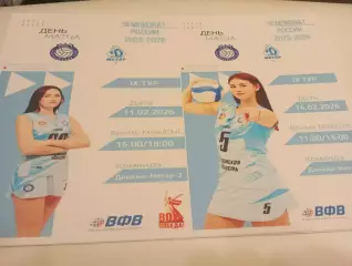 ВК. Рязань - РГУ - Динамо-Метар-2(Челябинск). 11/14.02.2026.