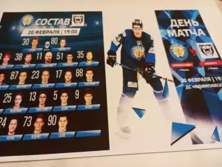 ХК. Рязань - ВДВ .- Молот(Пермь).20.02.2026. .