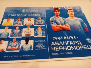 Авангард (Курск ) - Черноморец (Новороссийск). 8.02.2026. .Контрольный матч.