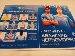 Авангард (Курск ) - Черноморец (Новороссийск). 8.02.2026. .Контрольный матч..