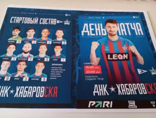 Чайка (Песчанокопское) - СКА(Хабаровск).1.03.2026.