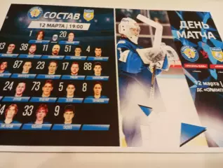 ХК. Рязань ВДВ. -Химик (Воскресенск). ..12.03.2026.