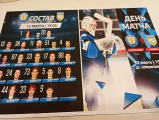 ХК. Рязань ВДВ. -Химик (Воскресенск). ..12.03.2026.