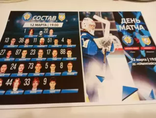 ХК. Рязань ВДВ. -Химик (Воскресенск). ...12.03.2026.