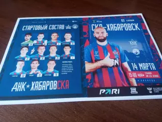 СКА(Хабаровск)- Родина (Москва).. 14.03.2026.