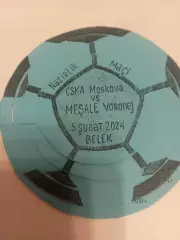 ЦСКА - Факел (Воронеж ). 5.02.2024.Контрольная игра (ручная работа)