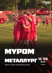 ФК.Муром - Металлург(Липецк)12.08.2026.кубок России