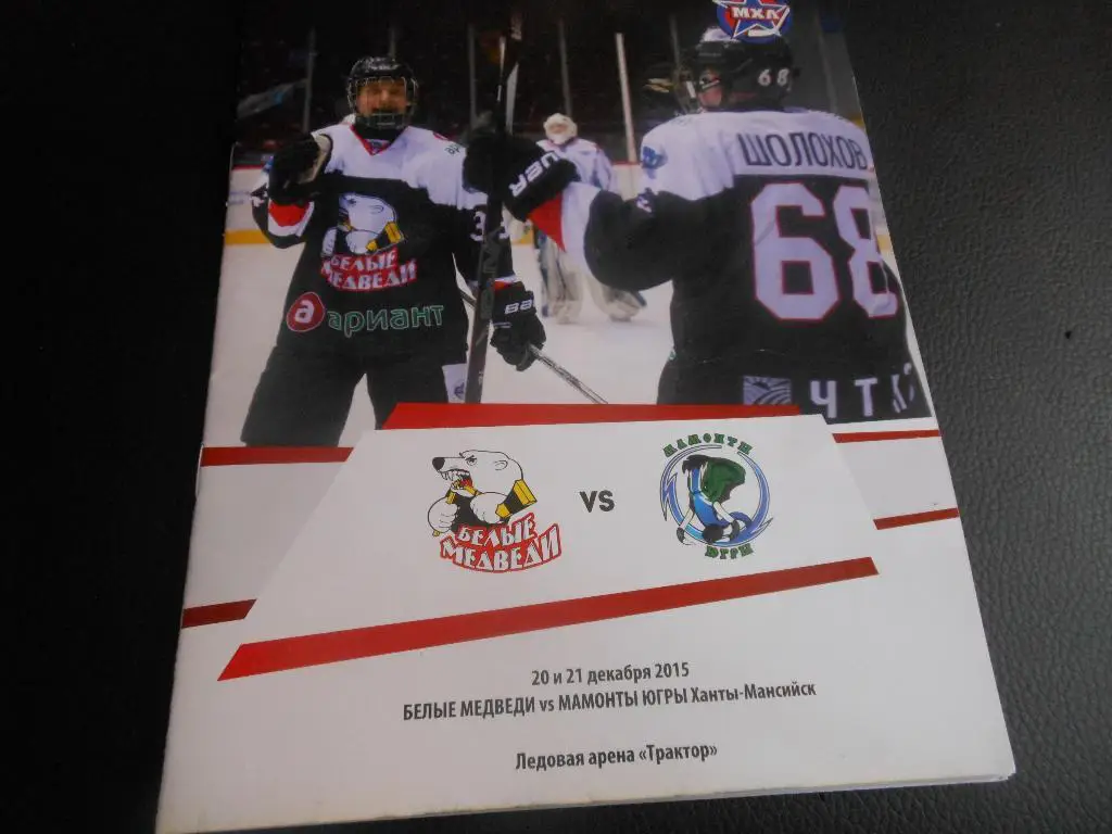 Белые Медведи (Челябинск) - Мамонты Югры (Ханты-Мансийск) 20-21.12.2015.
