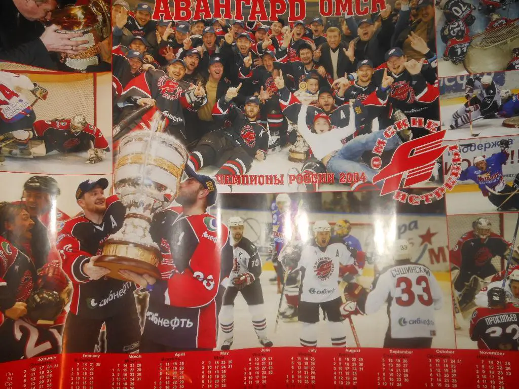 Авангард(Омск)чемпион России 2004 года