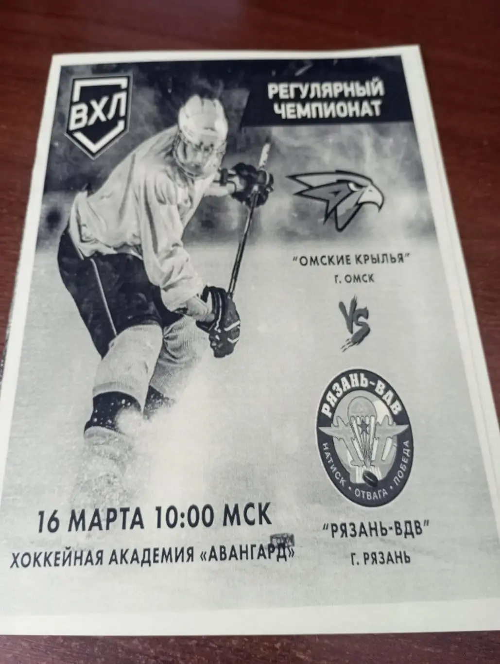 Омские Ястребы (Омск) - ХК.Рязань - ВДВ.16.03.2025....