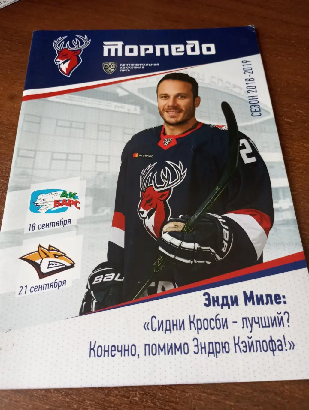 Торпедо (Нижний Новгород) - АК. Барс( Казань)/Металлург (Магнитогорск) 2018/2019