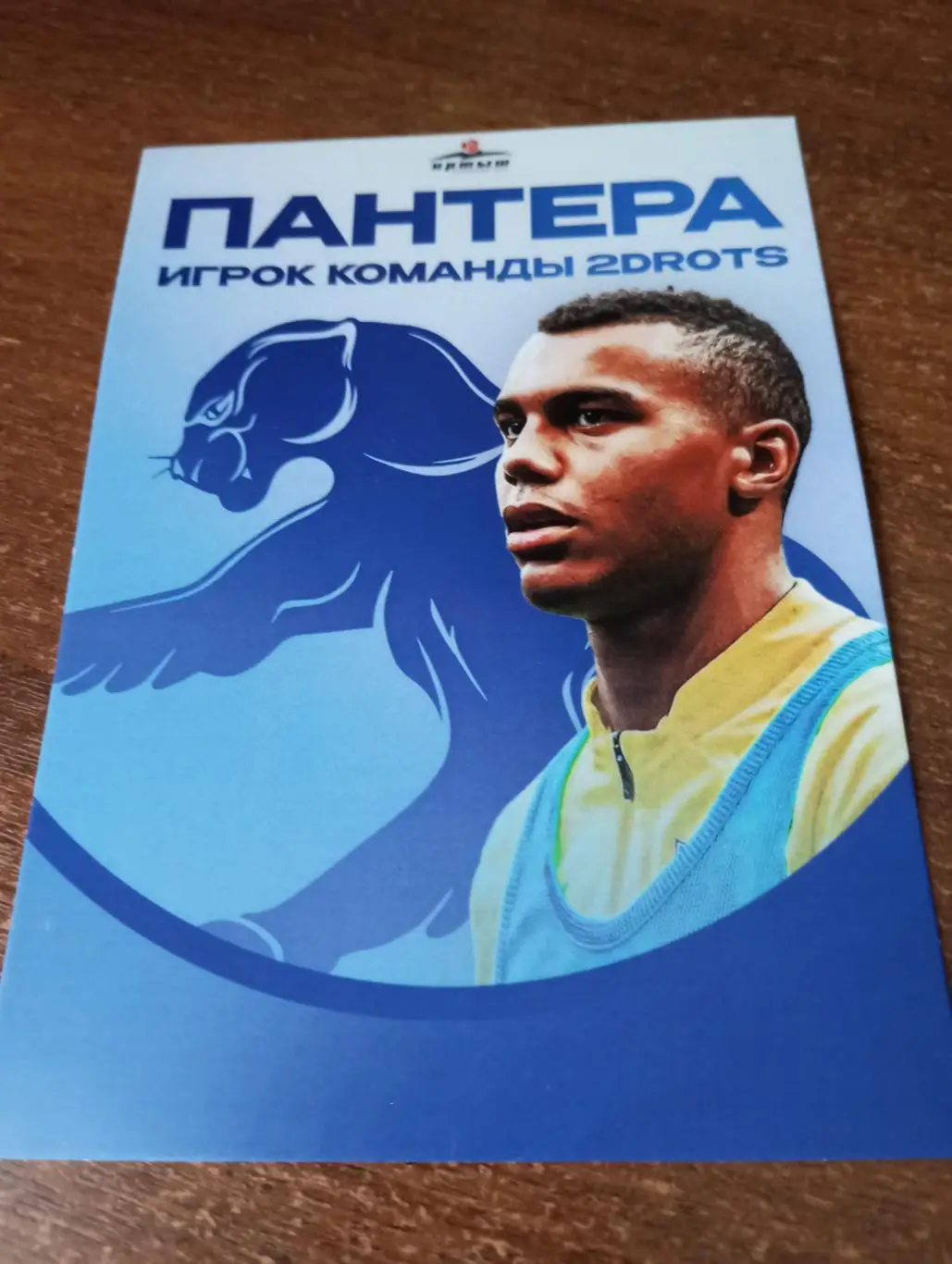 Фото. Футбол 2drots(Пантера)