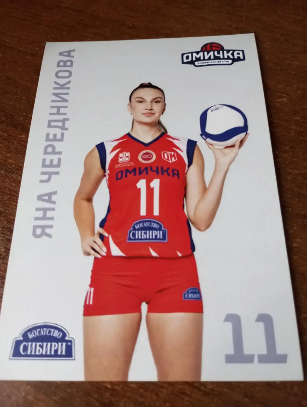 Фото. Волейбол (Яна Чередникова) Омск