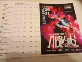 БК. Владимирские Львы ВлГУ - БК. Рязань.20.12.2025.