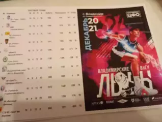 БК. Владимирские Львы ВлГУ - БК. Рязань.20.12.2025.