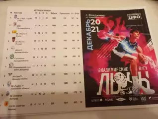 БК. Владимирские Львы ВлГУ - БК. Рязань.20.12.2025.