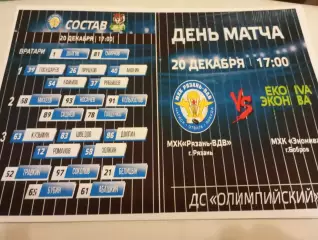 МХК.. Рязань ВДВ. - МХК. Эконива(Бобров Воронежская область).20.12.2025.