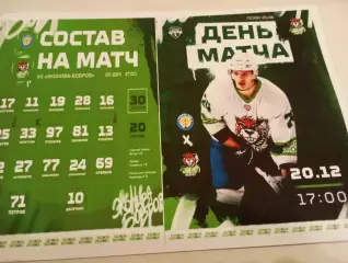 МХК.. Рязань - ВДВ. - МХК. Эконива(Бобров Воронежская область)...20.12.2025..