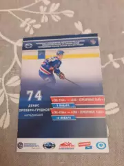 СКА-1946 Санкт-Петербург - Серебряные львы - 09-10.01.2015