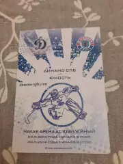 Динамо Санкт-Петербург - Юность - 29-30.11.2014.