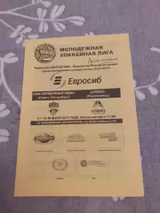 СКА- Серебряные львы Санкт-Петербург - Алмаз - 17-18.01.2015.