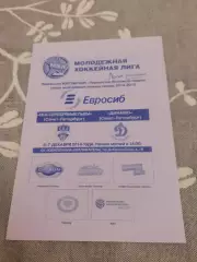 СКА- Серебряные львы Санкт-Петербург - Динамо СПб - 6-7.12.2014.