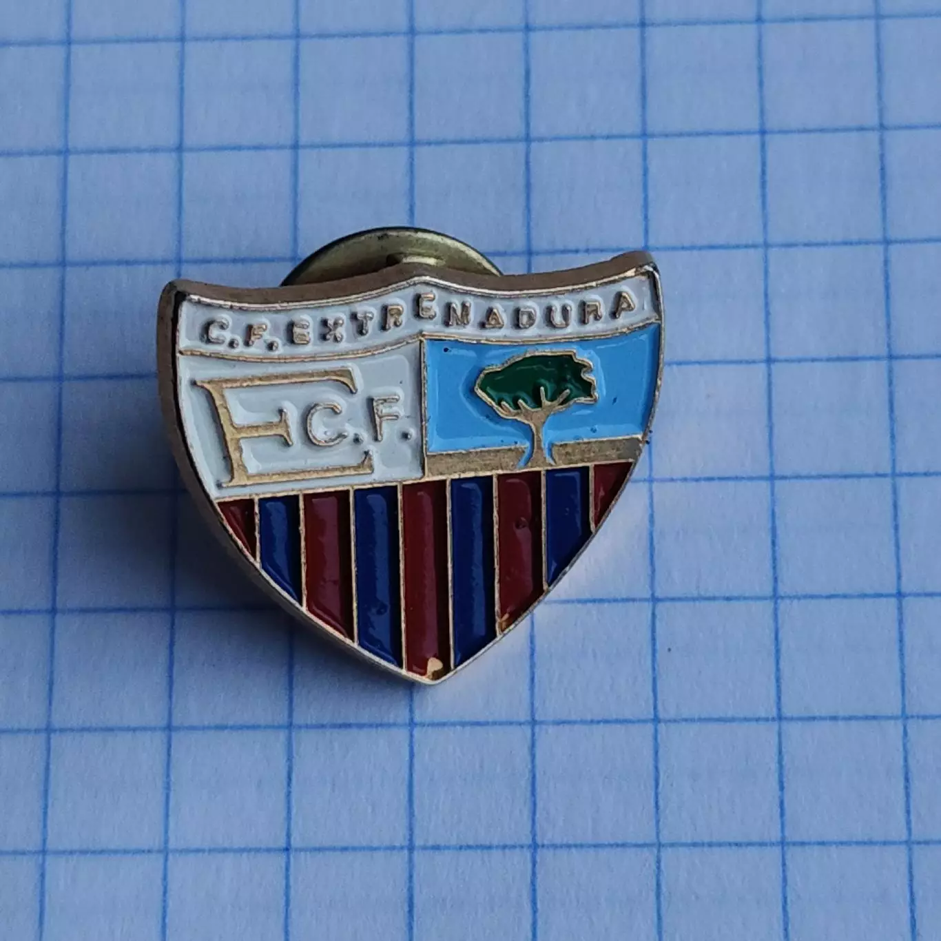 Значок. Эстремадура Испания (офиц)