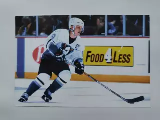 Paul Kariya/Пол Кария Mighty Ducks of Anaheim 1998-99 Panini Photocards